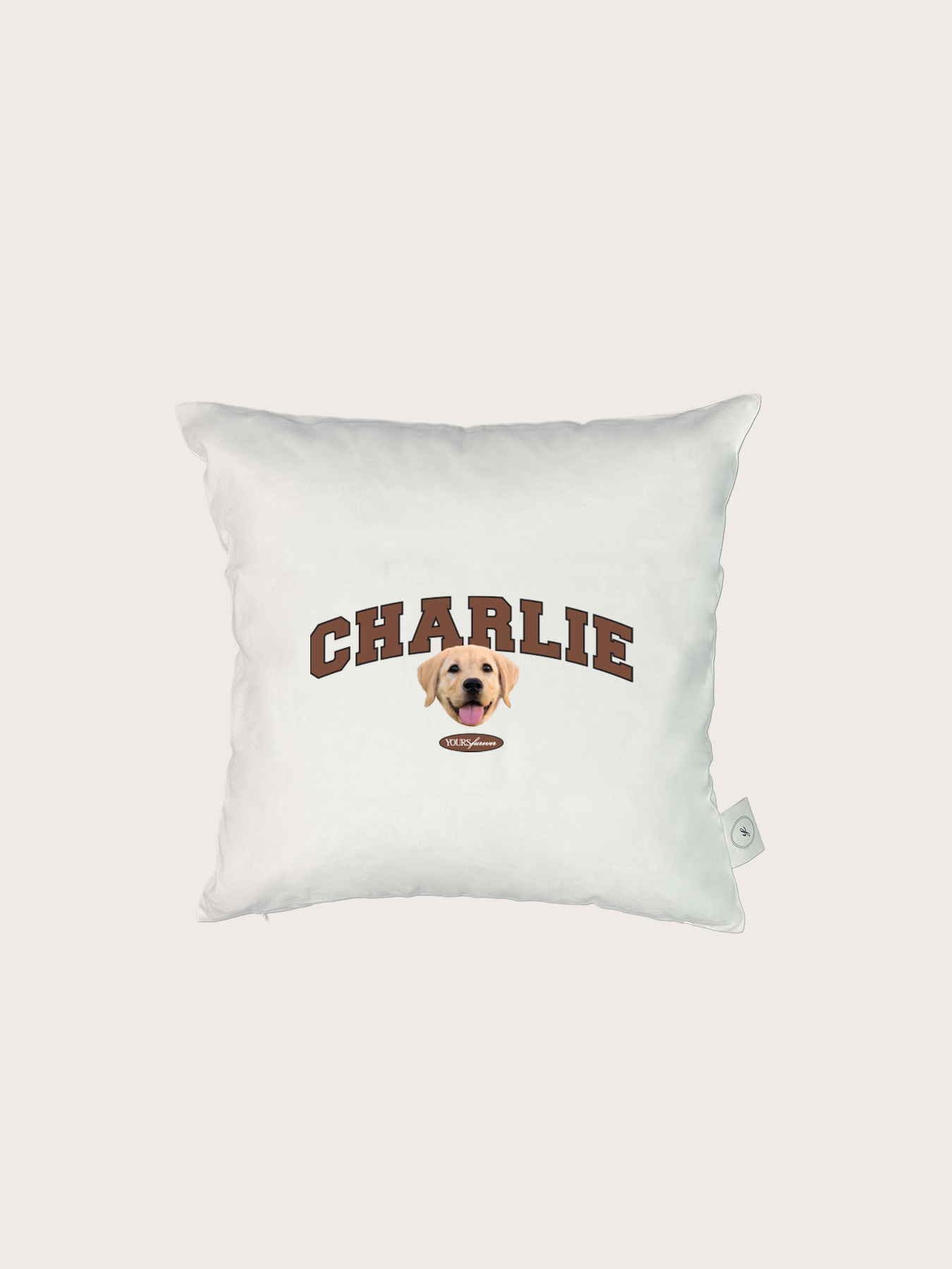 Classic Cushion (Slab Serif)