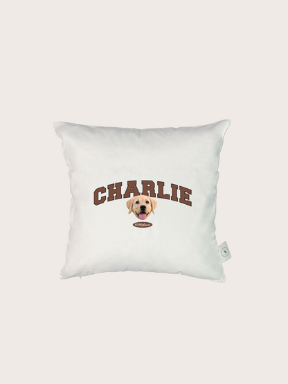 Classic Cushion (Slab Serif)