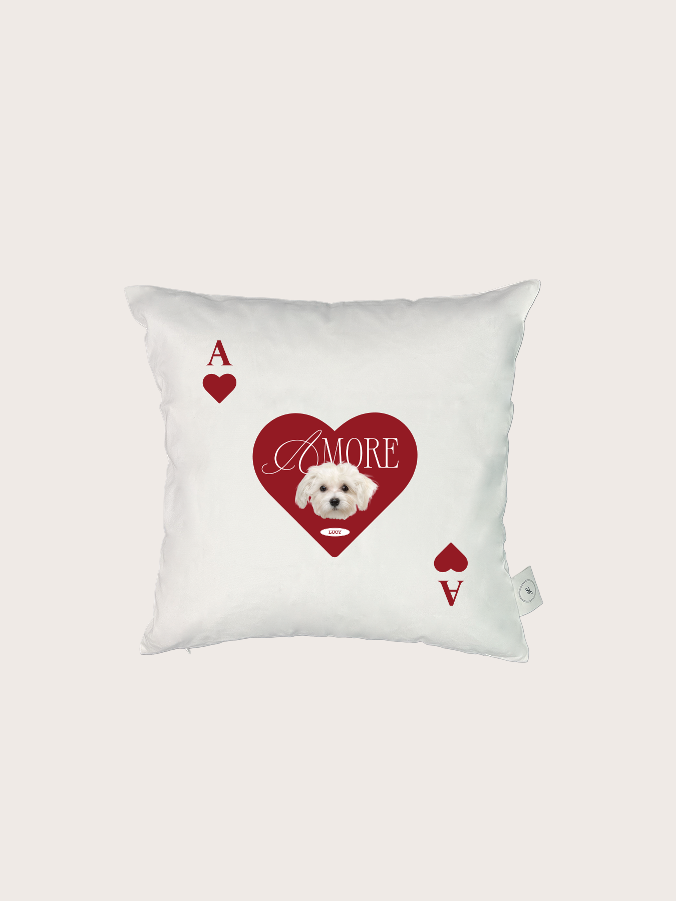 Card Cushion