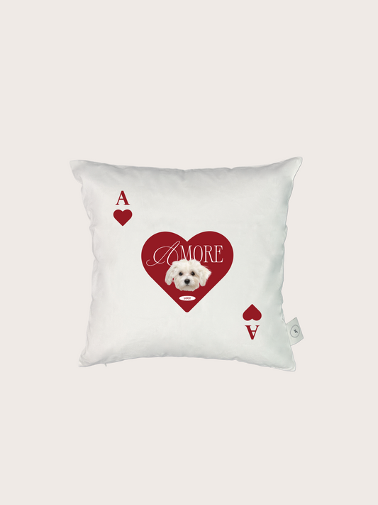 Card Cushion