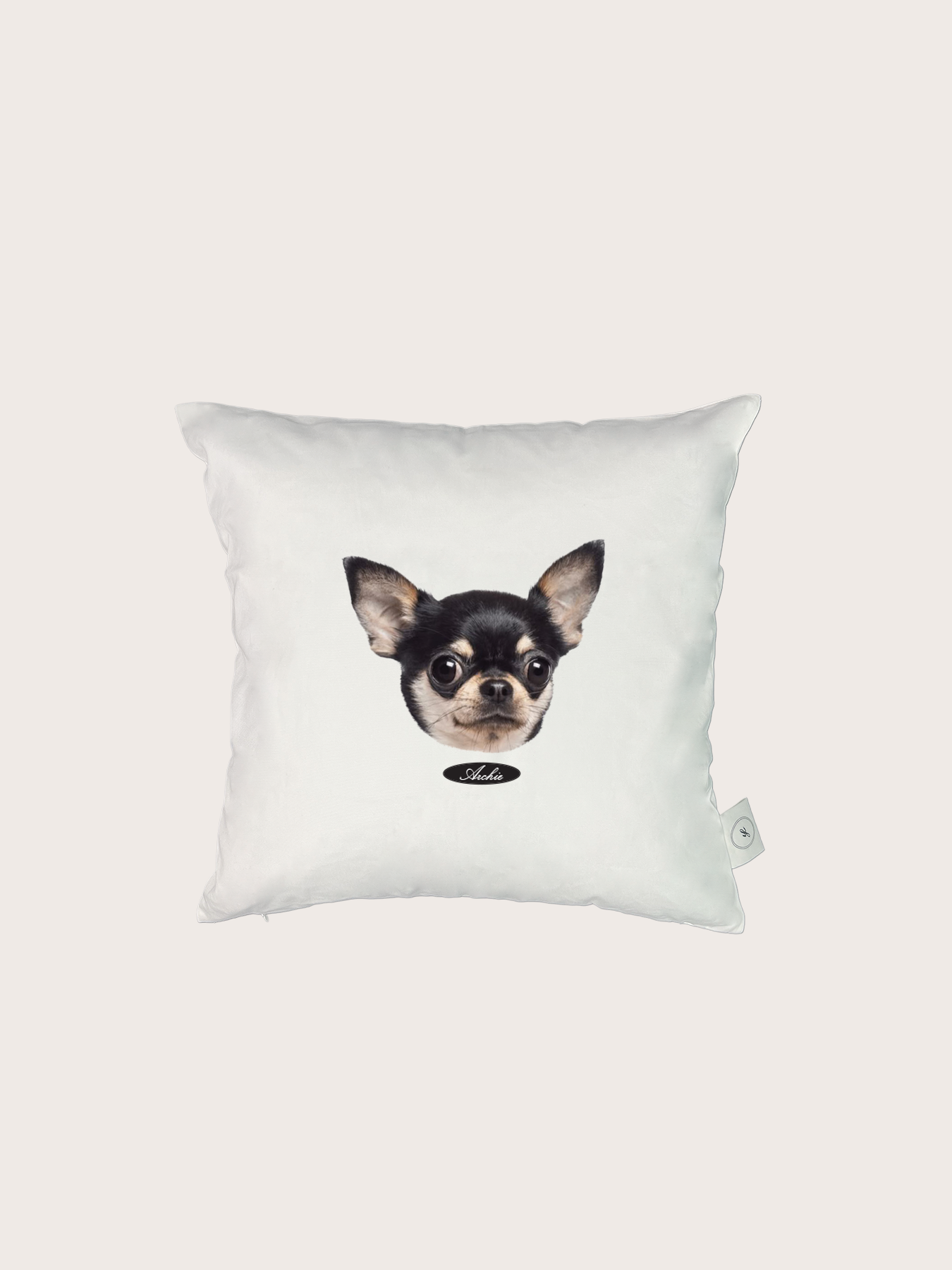 Pet Face Cushion