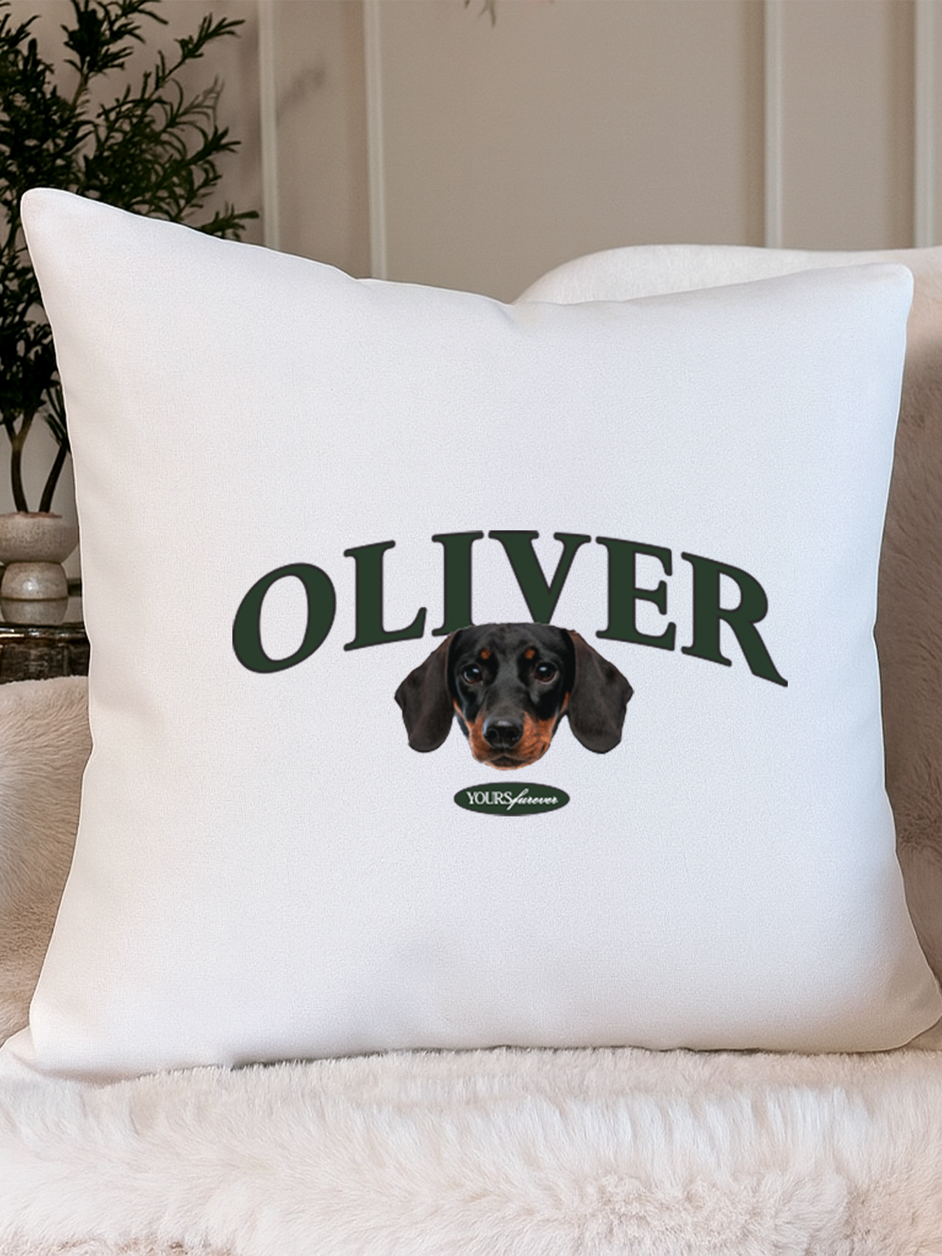 Classic Cushion (Serif)