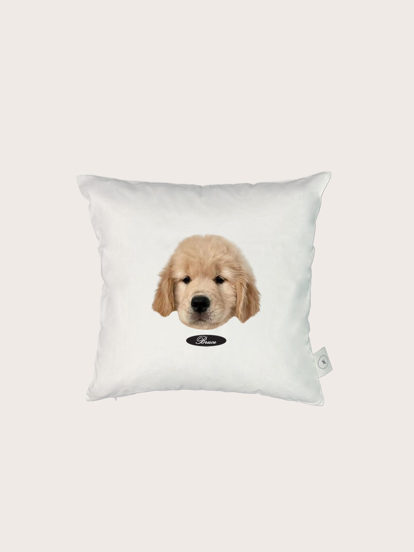 Pet Face Cushion