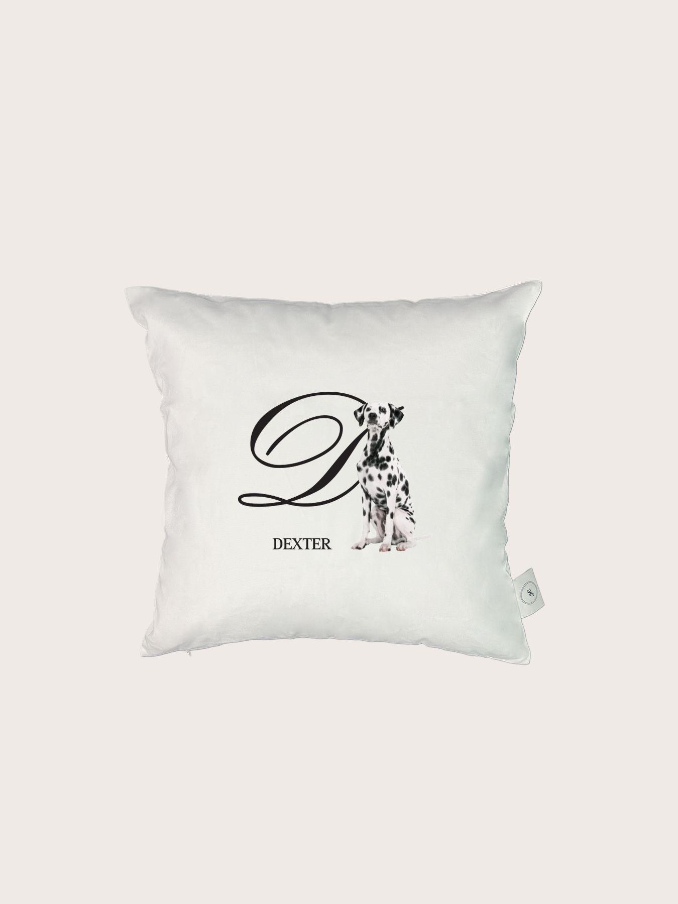 Letter Cushion (Cursive)