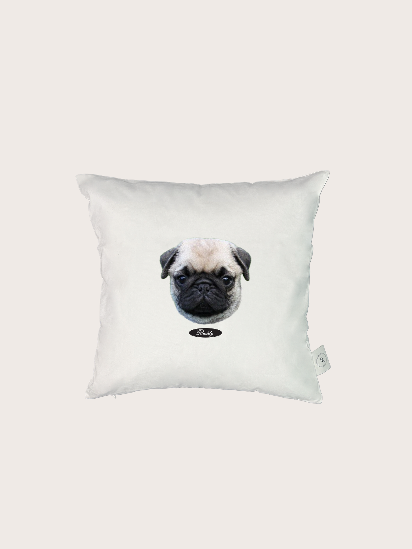 Pet Face Cushion