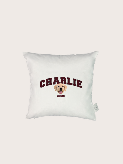 Classic Cushion (Slab Serif)
