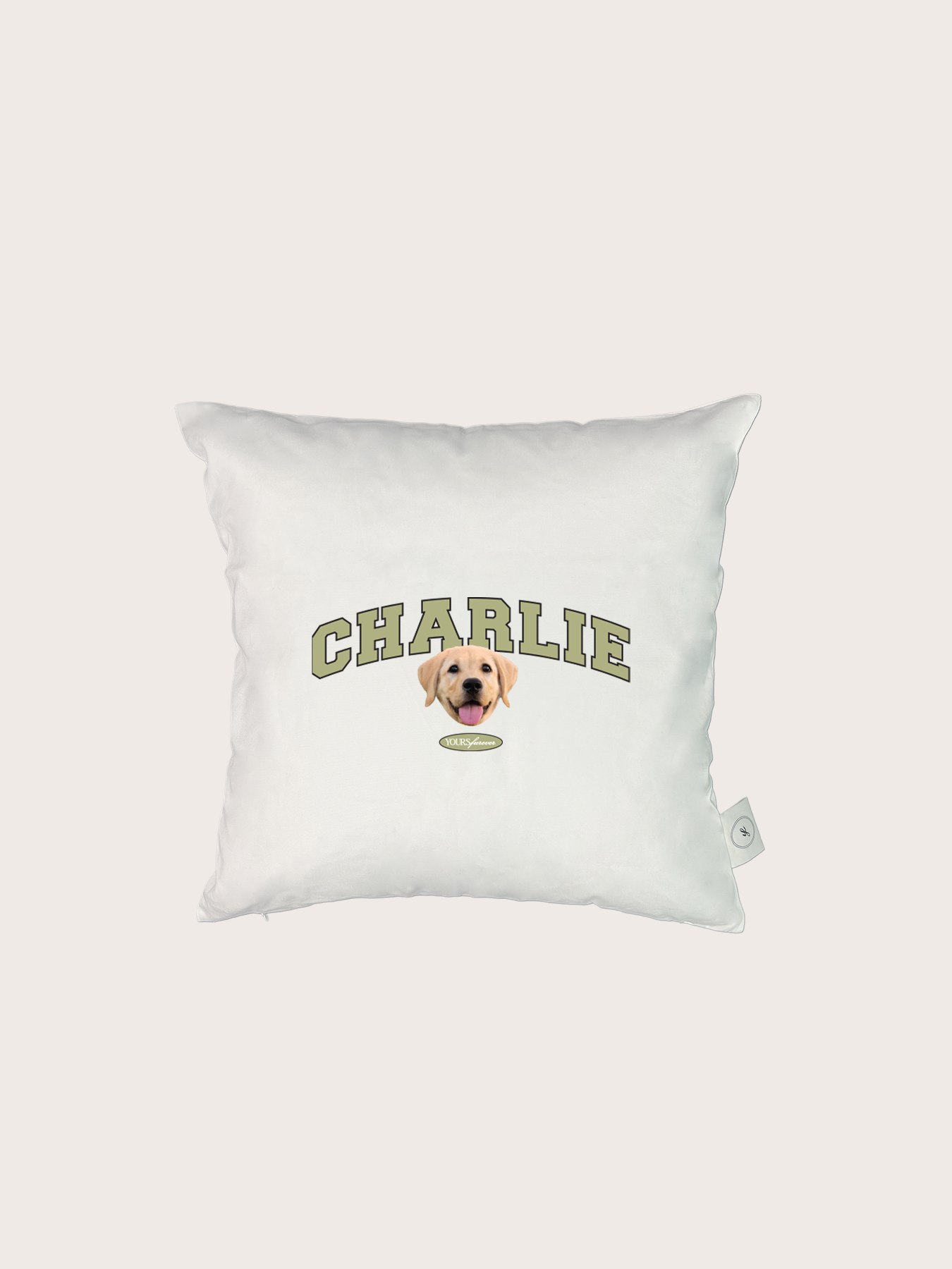 Classic Cushion (Slab Serif)