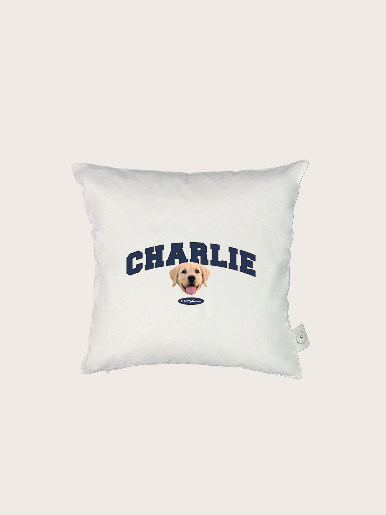Classic Cushion (Slab Serif)