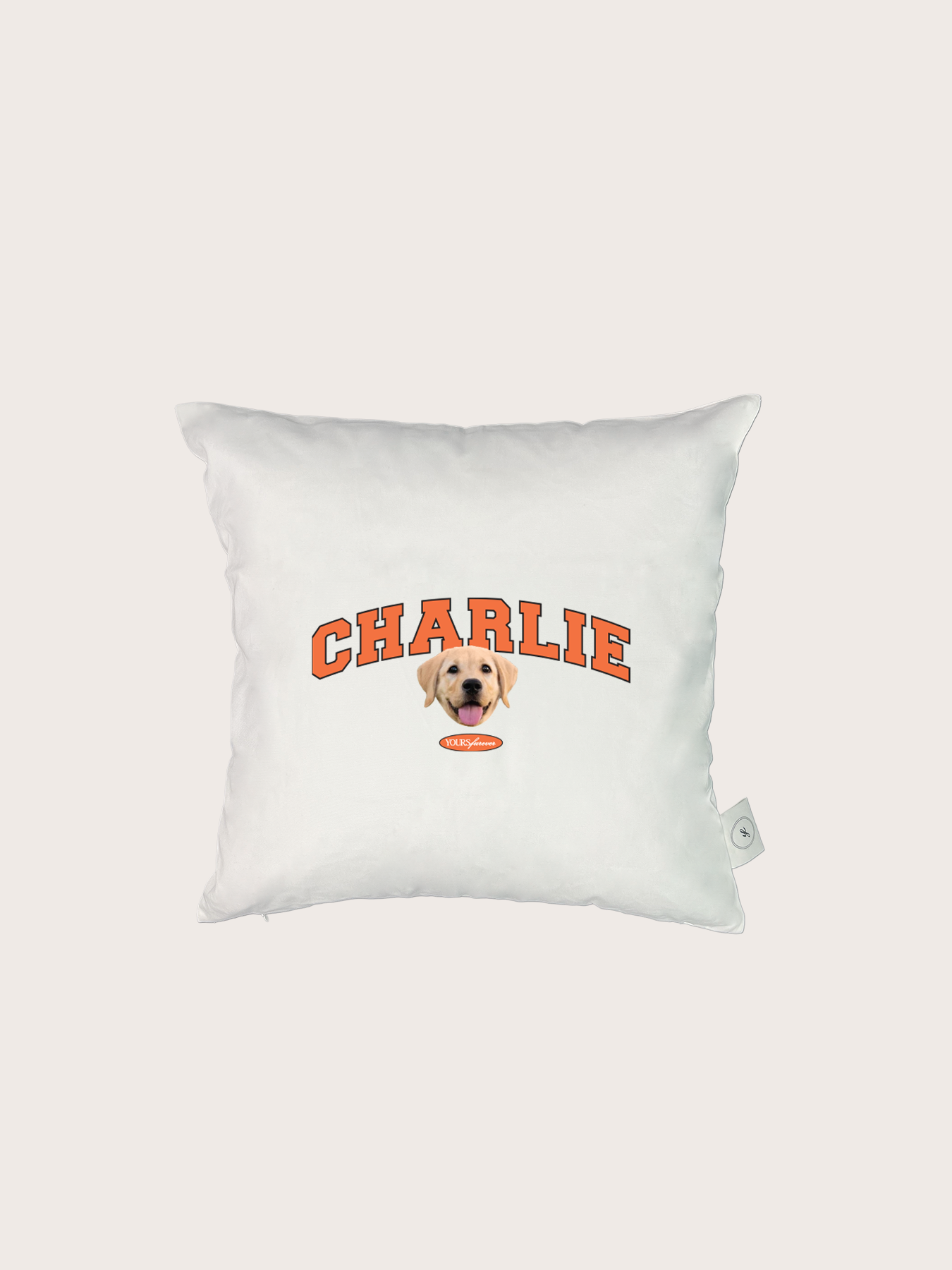 Classic Cushion (Slab Serif)
