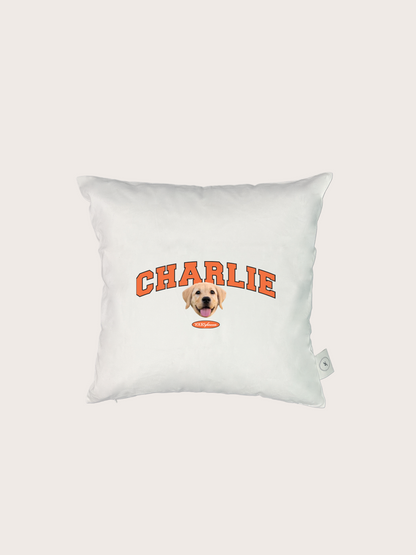 Classic Cushion (Slab Serif)