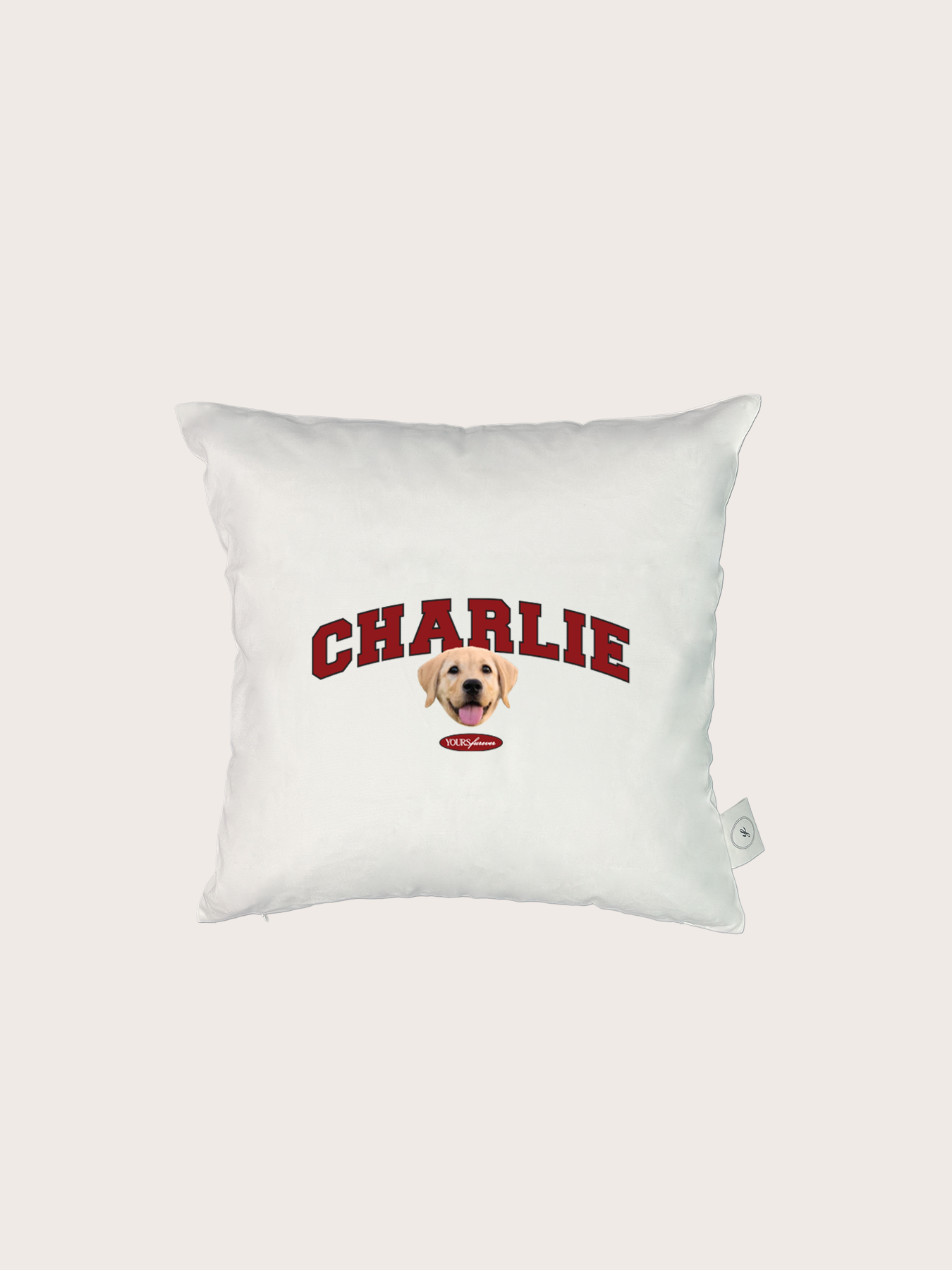 Classic Cushion (Slab Serif)