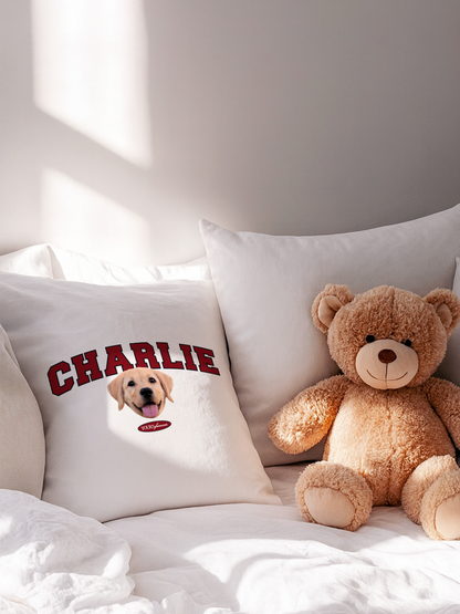 Classic Cushion (Slab Serif)